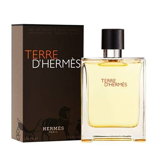 Hermes Terre D'hermes EDT 100ML for Men