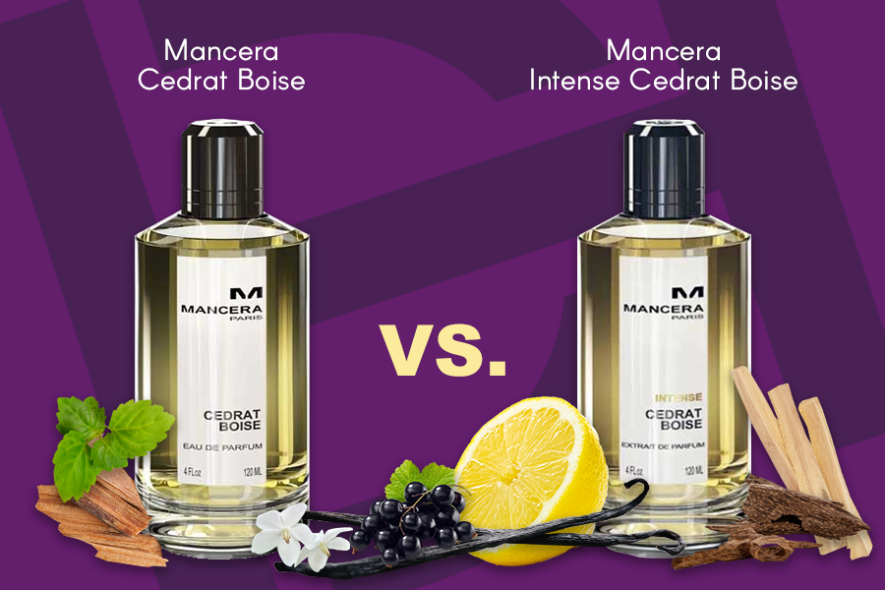 Can Intense Cedrat Boise De-Throne Its Older Brother?