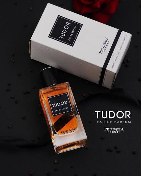 Pendora Scents Tudor 100ml EDP for Men by Paris Corner